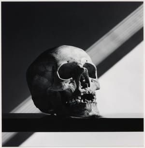 Artwork Title: Skull