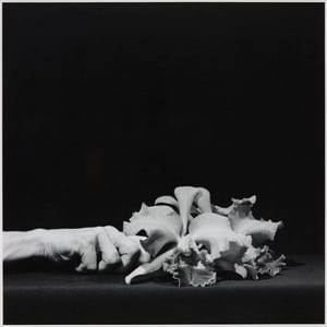 Artwork Title: Orchid and Hand