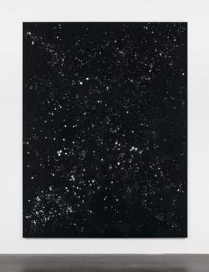 Artwork Title: ZWEITERJUNIZWEITAUSENDUNDNEUN
