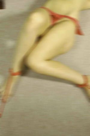 Artwork Title: Untitled