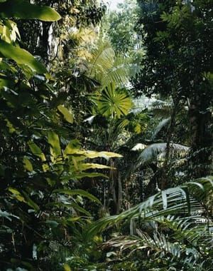 Artwork Title: Paradise 1
