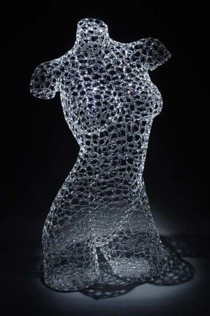 Artwork Title: Network Venus