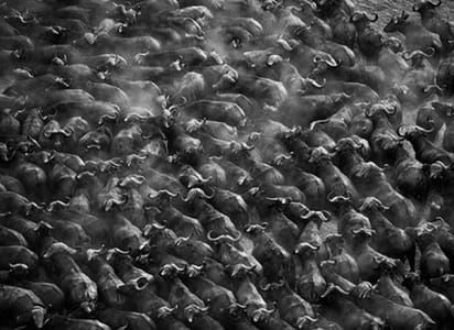 Artwork Title: Untitled