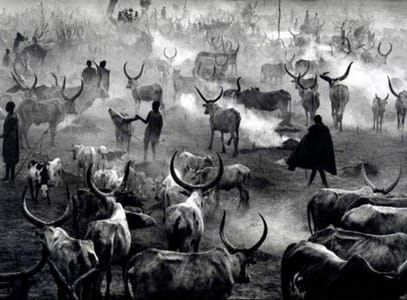 Artwork Title: Untitled