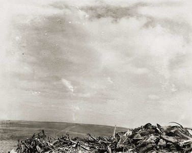 Artwork Title: 1945, Iwo Jima