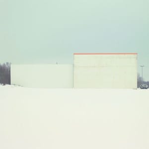 Artwork Title: Snow Blind