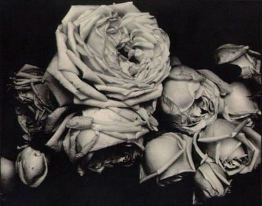 Artwork Title: Flowers