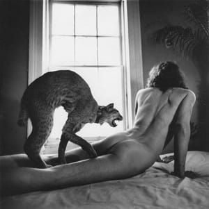 Artwork Title: Untitled