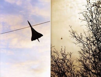 Artwork Title: Concorde
