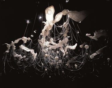 Artwork Title: Untitled