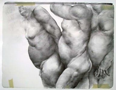 Artwork Title: Fat Free