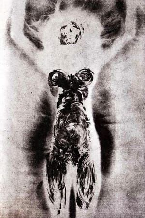 Artwork Title: Anthropometrie