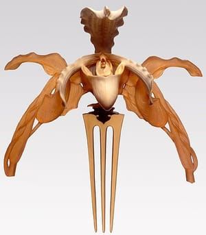 Artwork Title: Diadème Orchidée