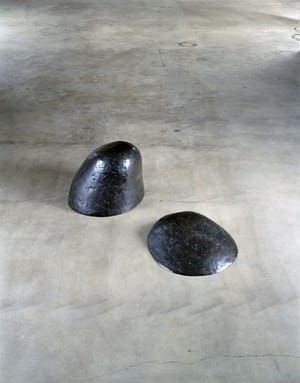 Artwork Title: Seen and Unseen