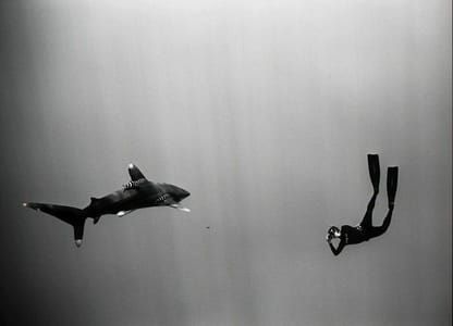 Artwork Title: Hawaiian Surfer (s-11)