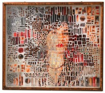 Artwork Title: Photographic Specimen
