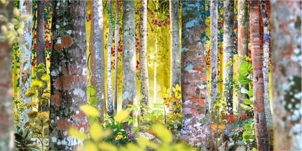 Artwork Title: Untitled