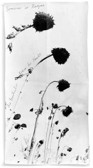 Artwork Title: Sommer in Barjac - Der berühmte Orden der Nacht
