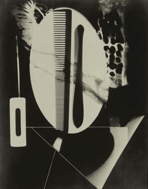 Artwork Title: Rayograph from Les champs délicieux