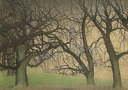 Artwork Title: Bomen Arbres