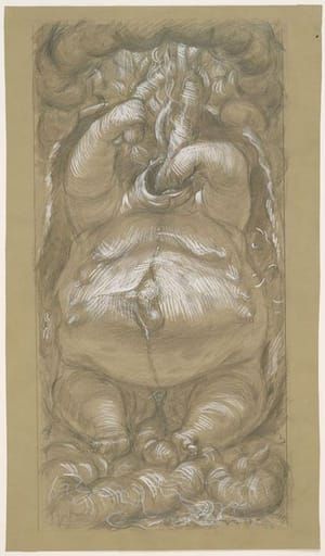 Artwork Title: Gluttony