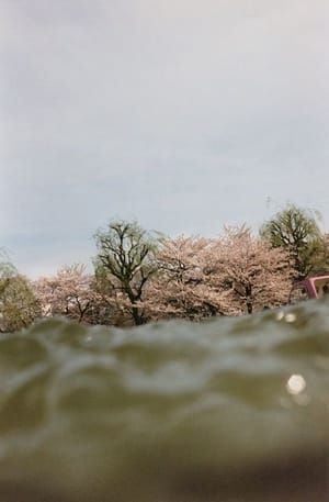 Artwork Title: Ueno, From The Series: 