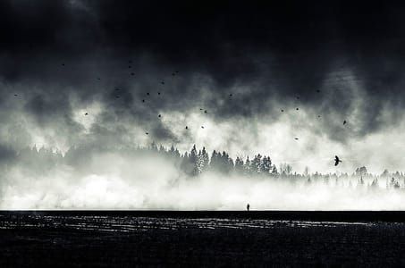 Artwork Title: Still Standing