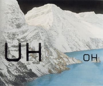 Artwork Title: UH OH