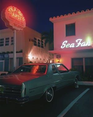 Artwork Title: Florida