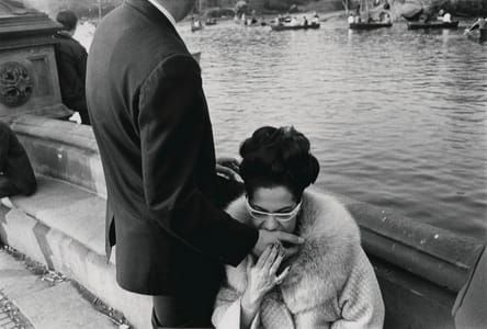 Artwork Title: Central Park, New York City