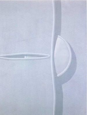 Artwork Title: Unbottoned button