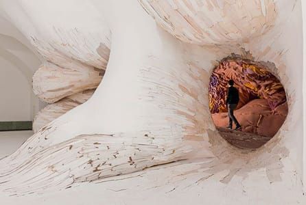Artwork Title: Ursulinens Prolapse