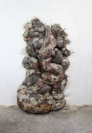 Artwork Title: Xilonoma Chamusquius 3