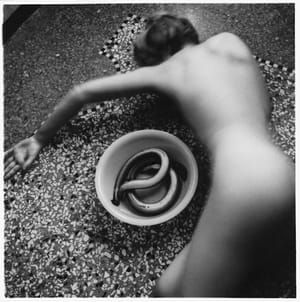 Artwork Title: Untitled