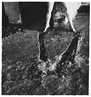 Artwork Title: Untitled