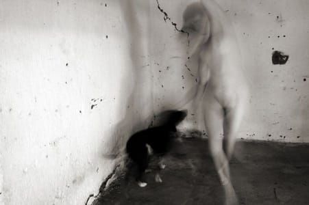 Artwork Title: Untitled