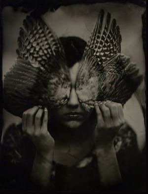 Artwork Title: Untitled