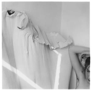 Artwork Title: Untitled