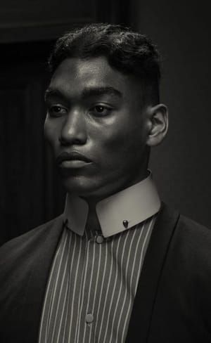 Artwork Title: Dusk, Portrait