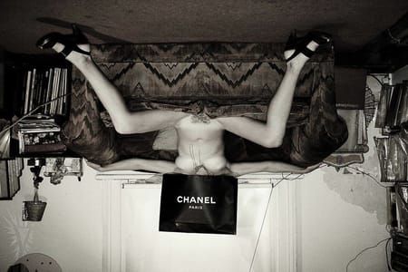 Artwork Title: Fashion Victim