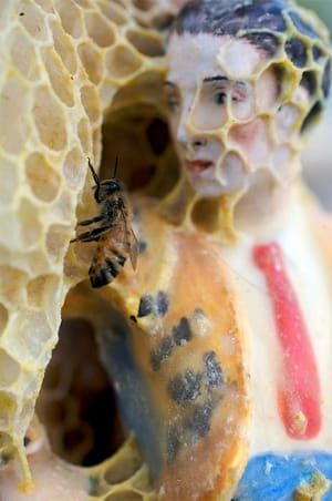 Artwork Title: Sculptures Wrapped In Honeycomb