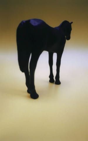 Artwork Title: Untitled (The Horse)