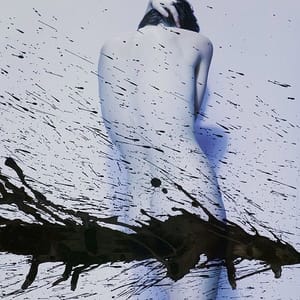Artwork Title: Untitled