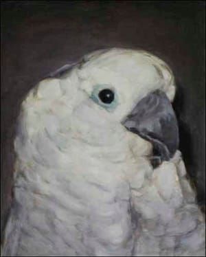 Artwork Title: Cold Blooded Old Times