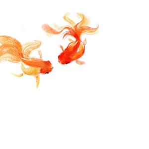 Artwork Title: Untitled