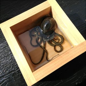 Artwork Title: What Is It Like To Be An Octopus?