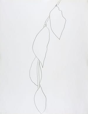 Artwork Title: Lemon Branch