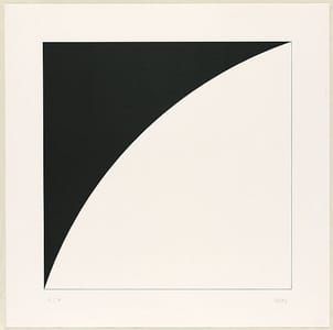 Artwork Title: White Curve