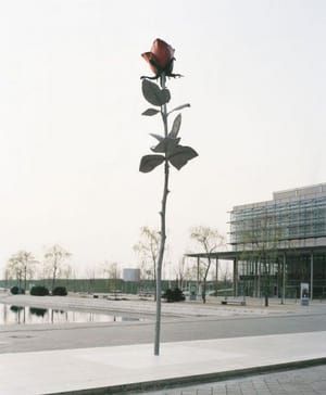 Artwork Title: Rose