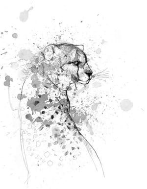 Artwork Title: Untitled